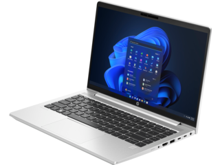 HP ProBook 450 G10 (15.6 inch)